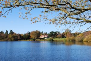 Liphook area guide 1