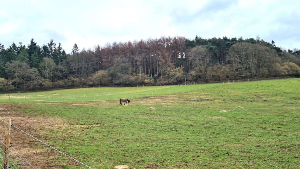 Barnett Lane, Wonersh, Guildford