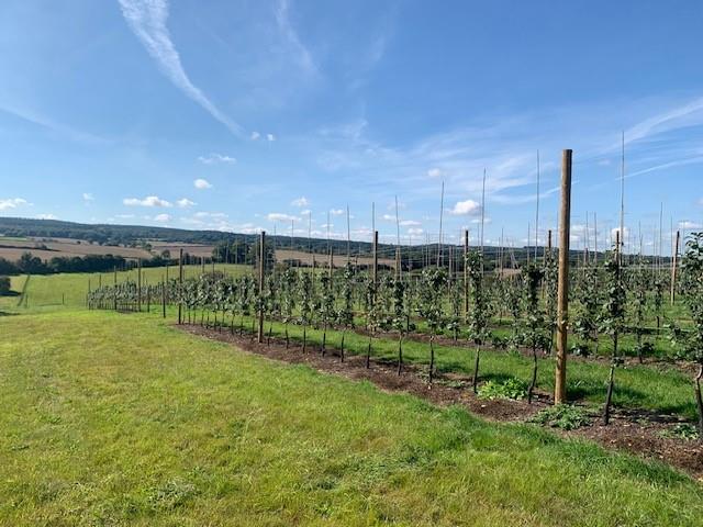 Land at Burrows Lea, Hook Lane, Shere, Guildford