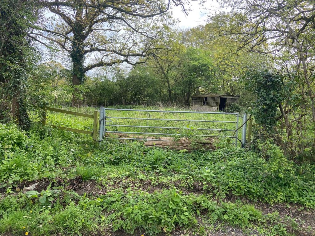 Cogmans Lane, Smallfield