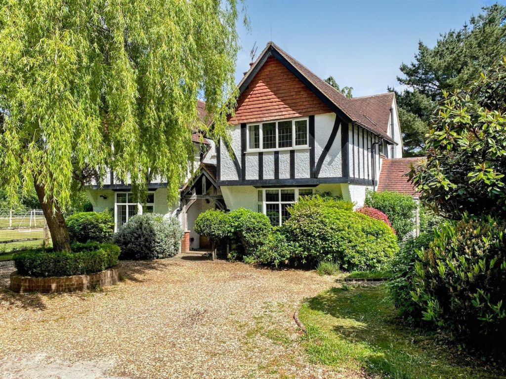 Marley Common, Haslemere