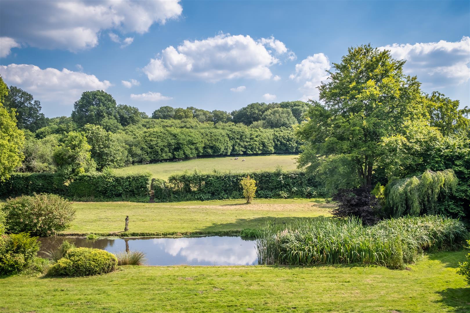 Ponds Lane, Shere, Guildford - Photo 24