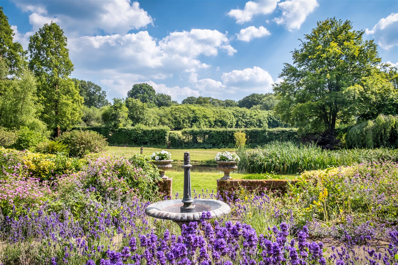 Ponds Lane, Shere, Guildford - Photo 25