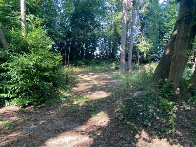 Gills Lane, Lodsworth