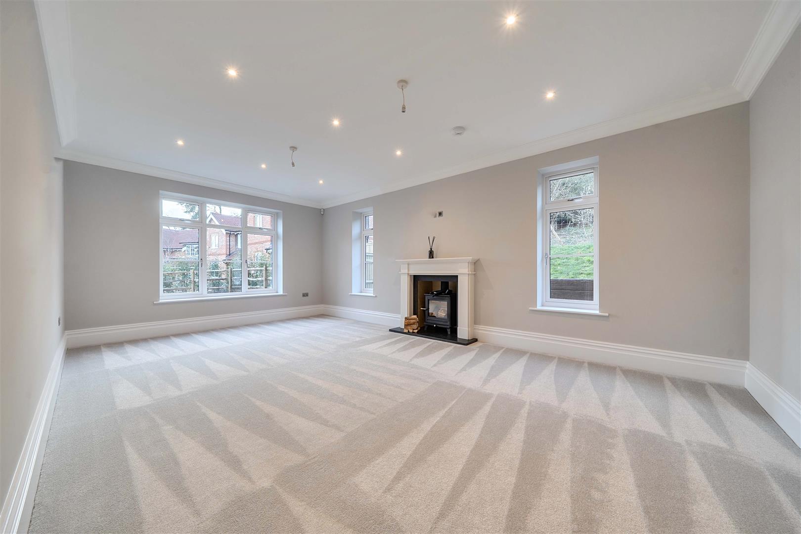 Critchmere Hill, Haslemere - Photo 13