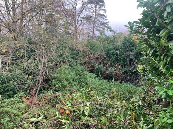 Hill Road, Grayshott, Hindhead